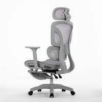 Chaise de bureau ergonomique en maille économique avec soutien lombaire adaptatif et repose-pieds dissimulé pour les acheteurs vietnamiens