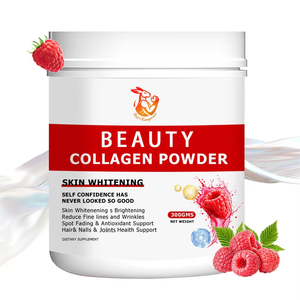 Colágeno en Polvo Personalizado al por Mayor - Grado Alimenticio para Adultos, Servicio OEM/ODM, Antioxidante, Cuidado de la Piel, Belleza, Suplemento Dietético - Product Image 1