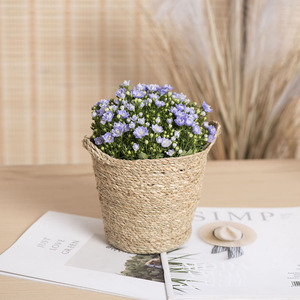 Nordic Seaweed Rope Woven Flower <b>Pot</b> Eco-Friendly Desktop Planter For Flower Green Plant Manual Weaving XH24-015 - Product Image 2