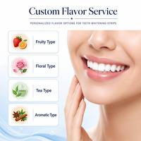 Soins bucco-dentaires, bandes blanchissantes pour les dents vegan sans peroxyde, 14 pièces, produit blanchissant pour les dents, portable, vente en gros