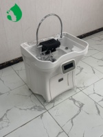 Yimei 5.0 Lavabo mobile pour spa capillaire, sans plomberie, bac à shampoing, grand réservoir de stockage d'eau et réservoir d'eaux usées avec unité de vapeur pour salon