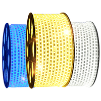 Bande lumineuse LED en plastique IP65 de 100 m pour décorations de Noël intérieures/extérieures, plusieurs couleurs