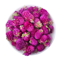 Teh Bunga Alami Globe Amaranth Gomphrena Globosa Kering Bahan Baku Grosir OEM Label Pribadi