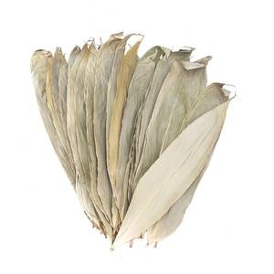 Feuilles de bambou séchées au soleil 100% naturelles pour la fabrication de gâteaux, prix compétitif, grande taille 9 cm et plus, feuilles de bambou séchées du Vietnam - Product Image 1