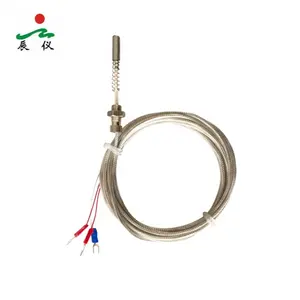 Haichen Platinum Wire Wrap WZPM Pt100 Pt1000 Thermal Resistance Probe