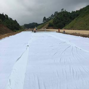 Géomembrane de 2 mm pour la prévention des infiltrations dans les barrages de stockage des cendres de tailings, avec géotextile filtrant en fibres – <span class=keywords><strong>Prix</strong></span> <span class=keywords><strong>au</strong></span> mètre carré FOB - Product Image 1