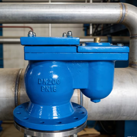 Vanne à air à double bille à orifice unique en fonte ductile GGG50 DN50-DN300 PN16 pour la réduction de pression, l'évacuation et le décharge de vide d'eau et d'air
