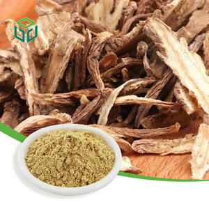 食品グレード天然当帰根エキス（安吉麻黄エキス）粉末 - Product Image 1