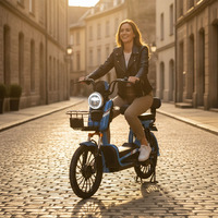 Trottinette électrique pour adultes 48V20A 500W à affichage numérique, unisexe, un excellent assistant de trajet – Meilleures ventes
