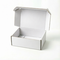 Boîtes en papier kraft personnalisées, vente chaude, durables, pliables, pour l'expédition de produits, la présentation en magasin et l'emballage cadeau