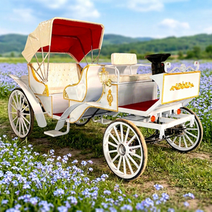Nouvelle Magnifique et Somptueuse Calèche Royale de Visite Touristique, Calèche Royale Électrique de Mariage Cendrillon, Transport Spécial - Product Image 1