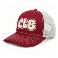 Gorras de Camionero de Mezclilla Personalizadas al por Mayor con Logotipo Bordado e Impreso