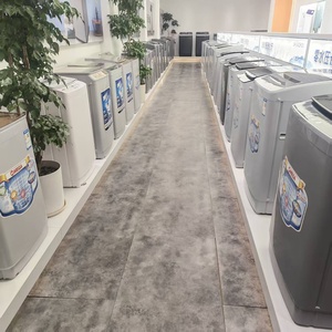 Lave-<span class=keywords><strong>linge</strong></span> OEM 10 kg grande capacité <span class=keywords><strong>à</strong></span> double bac, utilisation simple, idéal pour les dortoirs en location - Product Image 6