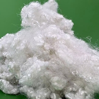 HCS Recycled Polyester Staple Fiber 7D*64 Hollow Conjugated PSF for Home Textile Stuffing