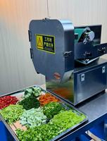 Groothandel gemotoriseerde multifunctionele groente- en fruitverwerker met soepele invoer, anti-verstopping, afneembare kop en hygiënische functies voor buffetten