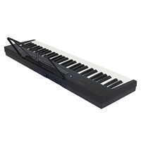 Nouvelle conception, orgue électrique à 61 touches avec écran LED, clavier électronique avec 300 sons et 300 rythmes