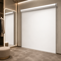 Stores enrouleurs modernes et simples en tissu personnalisé avec chaîne manuelle, filtrant la lumière du jour, installation facile pour la maison et l'appartement