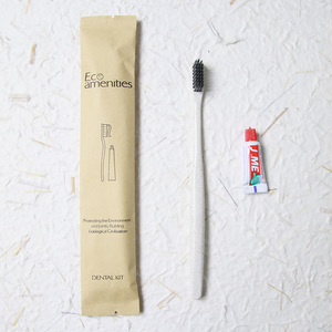 Set di Cortesia per Hotel Kit Spazzolino e Dentifricio Eco Monouso di Lusso Kit Sbiancante Dentale Professionale - Product Image 4