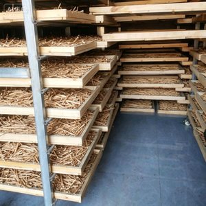 Nuovo Raccolto di Bastoncini di Matatabi Essiccati Freschi, Radice di Silvervine per Gatti - Product Image 4