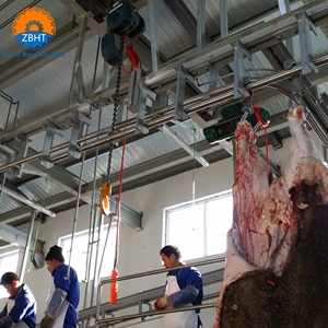 Komplette Rinder- und Kuh-Schlachthofausrüstung für Schlachthöfe mit Langlebigkeit und Hoher Qualität - Product Image 3