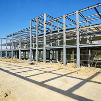 Estructura de Acero Prefabricada de Gran Resistencia Q355B, Diseño de Gran Vano, para Construcción de Talleres