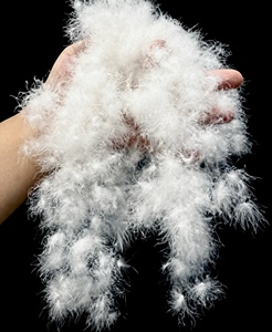 Plumes <span class=keywords><strong>de</strong></span> <span class=keywords><strong>canard</strong></span> blanches pures et collantes, lavables en machine, à bas <span class=keywords><strong>prix</strong></span> - Product Image 3