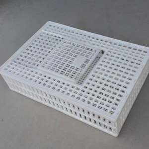 Sıcak satış en ucuz hayvan kafesleri saf plastik canlı kuşlar tavuk çiftliği için tavuk taşıma kasaları - Product Image 5