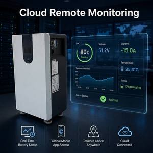 Paquete de Baterías de Litio-Ferrofosfato (LiFePO4) de 51.2V 300Ah 15kWh para Sistemas de Almacenamiento de Energía Solar (ESS) Domésticos con BMS Inteligente en la Nube, 6000 Ciclos, 5 Años de Garantía, Stock en la UE - Product Image 4