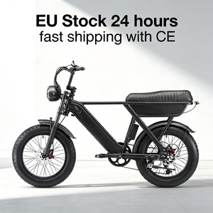Livraison gratuite <span class=keywords><strong>V8</strong></span> Ebike Vélo de montagne tout-terrain Y20 Fatbike Double batterie E Bike Vélo électrique EU 250W Ebike - Product Image 1