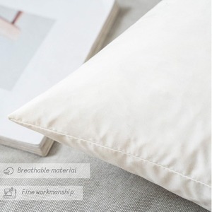 Tùy Chỉnh Thân Thiện Với Môi Có Thể Giặt Cotton 22X22 Ném Gối Chèn Bông Vuông Xuống Phụ Cho Sofa Phòng Khách Đệm - Product Image 4