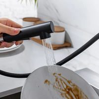 Robinet mélangeur de cuisine en acier inoxydable 304 noir brossé doré, avec douchette extractible à ressort, à montage sur plan pour la maison