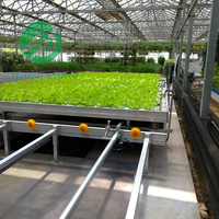 Grands bancs logistiques entièrement automatiques pour légumes et plantes Banc roulant stable Film d'aluminium Serres agricoles