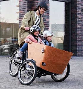 Nouveau design Swing Balance Device Cargo Bike électrique 24 "250w Child <span class=keywords><strong>Transport</strong></span> Cargo Bike électrique Ebike E-cargo Family E Bicycle - Product Image 4