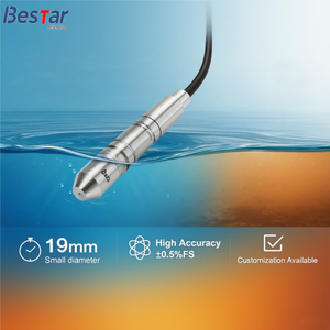 Sensor <span class=keywords><strong>de</strong></span> <span class=keywords><strong>Nivel</strong></span> <span class=keywords><strong>de</strong></span> <span class=keywords><strong>Agua</strong></span> Hidrostático Bestar <span class=keywords><strong>de</strong></span> 19 mm con Sonda <span class=keywords><strong>de</strong></span> Acero Inoxidable <span class=keywords><strong>de</strong></span> Diámetro Pequeño, RS485, <span class=keywords><strong>para</strong></span> <span class=keywords><strong>Estanques</strong></span>, Pozos y Presas, Precisión del 0.5%, 0-20 m - Product Image 3