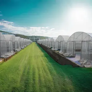 Nuova serra agricola di grandi dimensioni per fragole e aziende agricole