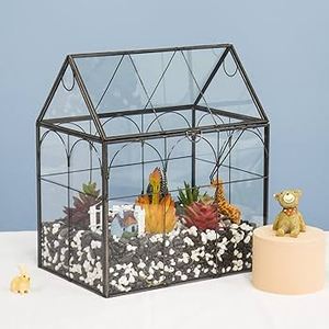 Recipiente de Terrario de Vidrio Transparente, Recipiente Decorativo para Exhibición, Perfecto para Arreglos Florales en Mesa de Oficina u Hogar - Product Image 2