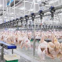 Qingdao Raniche Machine Abattoir Automatisé Abattage De Poulet Mini Volaille Halal Sl