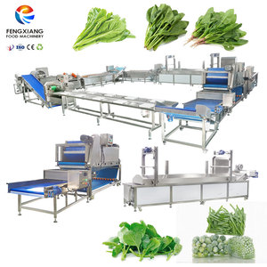 Ligne de production automatique de légumes surgelés (chard suisse, rucula, haricots, épinards) – Machine de découpe, lavage, blanchiment et séchage des épinards - Product Image 1