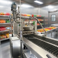 Automatische snoepdepositie-apparaat van roestvrij staal CANDY SGDQ300 voor het maken van gelatine- en pectine-snoep, eenvoudig te bedienen