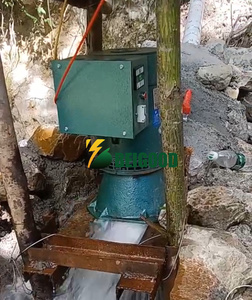 Turbina de agua, turbina hidroeléctrica, generador 5kw 10kw 20kw 500W, Micro generador hidráulico, turbina de agua - Product Image 5