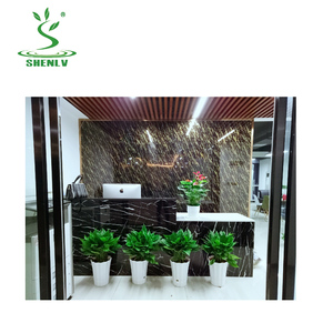 Pots à absorption d'eau automatique créatifs - Product Image 1