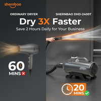 Sèche-cheveux professionnel Shernbao DHD-2400T 2400W à double moteur, personnalisable, pour animaux de compagnie (chiens et chats), directement de l'usine