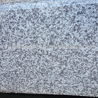 G439 carreaux de granit blanc à grande fleur 60x60 carreaux de granit et carreaux de sol et de mur