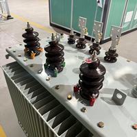 200kVA 315kVA 500kVA 1000kVA Transformator Distribusi Tiga Fasa Berpendingin Minyak untuk Luar Ruangan