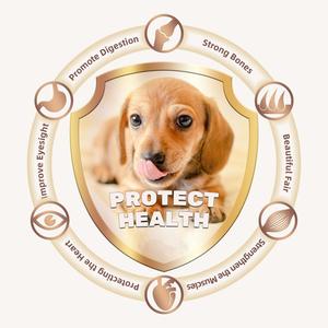 איכות מיוצא מפעל oem פרמיה באיכות גבוהה חלבון יבש חלבון יבש מזון עבור להשיג שרירים לכל הגילאים - Product Image 6