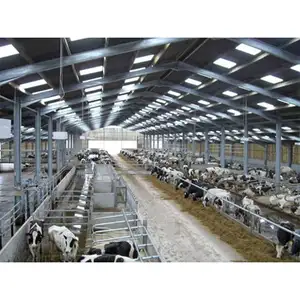 Bâtiment préfabriqué Structure métallique Chèvre Bovins Ferme Moutons Animaux Conception agricole