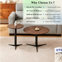 Table basse de qualité supérieure OKAY, style moderne, pour villa de luxe, meubles de hall, plateau en MDF, pieds en métal, ensemble de tables basses