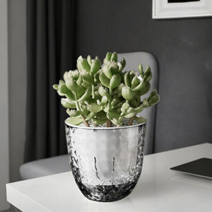 Алмазный автоматический водопоглощающий прозрачный пластиковый цветочный горшок для домашних животных + PP для домашнего и садового использования - Product Image 1