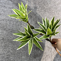 Follaje Artificial de Lirio y Bambú, Decoración Realista para Interiores, Hogar, Jardín, Oficina, Plantas Artificiales