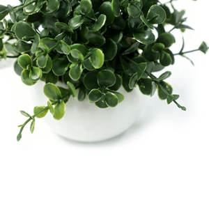 Petites plantes artificielles d'<span class=keywords><strong>eucalyptus</strong></span> <span class=keywords><strong>en</strong></span> <span class=keywords><strong>pot</strong></span> de céramique, fausse <span class=keywords><strong>terre</strong></span>, fausses plantes <span class=keywords><strong>pour</strong></span> étagère, bureau, maison, salle de bain, table basse, décoration - Product Image 4